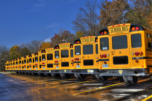 School buses in the fall / tncountryfan