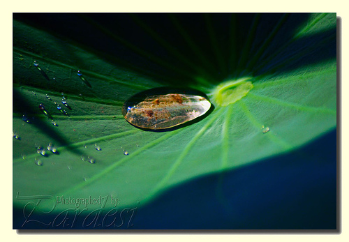 A drop and some droplets.... / shareitnow