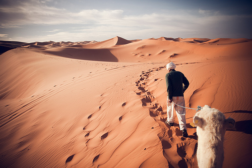 'Sahara Guide', Morocco, Merzouga, Erg Chebbi, Sahara Desert / chrisschoenbohm